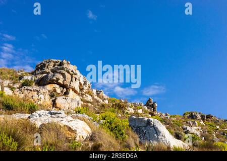 Zerklüftete Berglandschaft mit Fynbos-Flora in Kapstadt Stockfoto