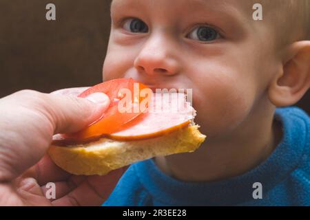 Das kleine Baby isst ein Sandwich Stockfoto