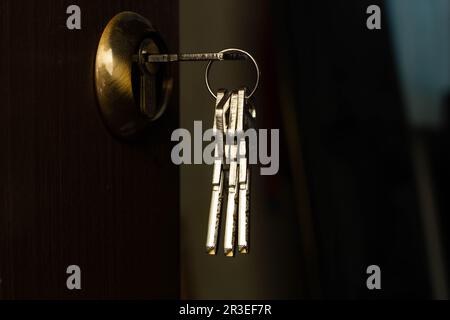 Ein Haufen Schlüssel ragt aus dem Türschloss. Edelstahlschlüssel ragen aus einem goldenen Messingschloss in einer braunen Haustür heraus. Eingangstür Stockfoto