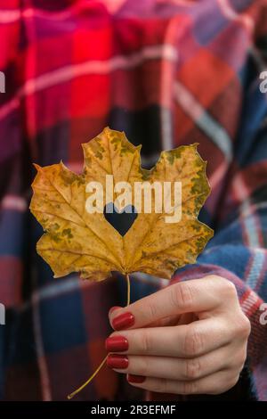 Stylische rote Nägel für Frauen. Fallblatt mit Loch in Herzform in den Händen. Moderne, wunderschöne Maniküre. Herbstnageldesign-Konzept von Stockfoto