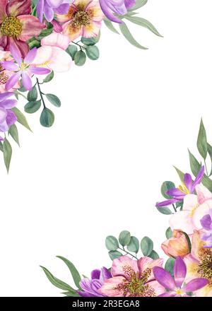 Wasserfarbener vertikaler Rahmen von Hellebores, Krokussen, Eukalyptus, isoliert auf weißem Hintergrund. Darstellung von Frühlingsblumen, grünen Blättern Stockfoto
