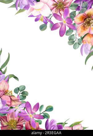 Wasserfarbener vertikaler Rahmen von Hellebores, Krokussen, Eukalyptus, isoliert auf weißem Hintergrund. Darstellung von Frühlingsblumen, grünen Blättern Stockfoto