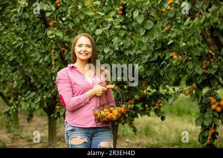 Lächelnde Frau mit Aprikosenkorb im Garten Stockfoto