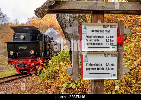 Wegweiser für Wanderwege Selketal Harz im Herbst Stockfoto