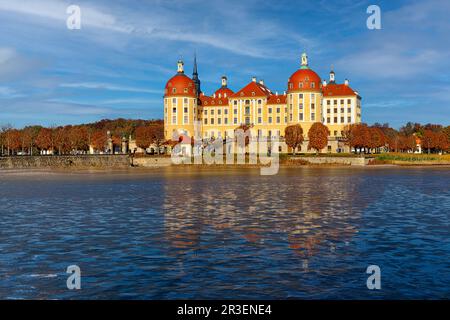 Blick über den See bis zur Burg Moritzburg in Sachsen Stockfoto