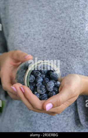 Eine Frau, die eine Schüssel mit gefrorenen Heidelbeeren hält. Erntekonzept. Weibliche Hände sammeln Beeren. Konzept der gesunden Ernährung. St Stockfoto