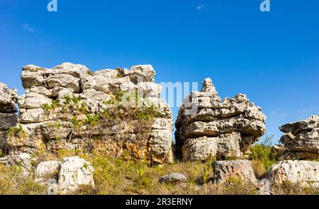 Zerklüftete Berglandschaft mit Fynbos-Flora in Kapstadt Stockfoto