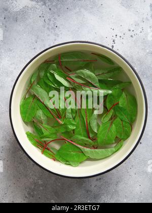 Roter Mangold in kaltem Eiswasser. Gesunde Mahlzeit Rezepte Zubereitung. Pflanzliche Gerichte. Grün leben. Vegetarische Rezepte. Lebensmittelstyli Stockfoto