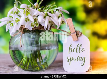 Grußkarte Text HALLO FRÜHLINGSSCHRIFT mit Schneegropfen Blumen. Frühe Frühlingsblumen. Frühling. Frisches Bouquet Stockfoto