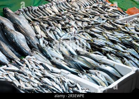 Frischer Fisch zum Verkauf auf dem Uskudar Fishermen's Market, Istanbul, Turkiye Stockfoto