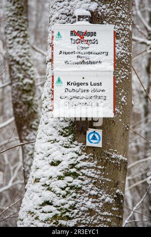 Schilder für Wanderwege im Harz Stockfoto