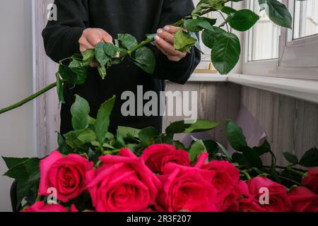 Blumenhändler, der einen Blumenstrauß aus rosa Rosen arrangiert. Nahaufnahme Florist, der beim Schneiden von Rosenstielen mit einer Baumschere während der Kompostierung arbeitet Stockfoto