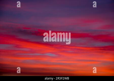 Lebendige bunte Wolken dramatischer Himmel bei Sonnenaufgang oder Sonnenuntergang. Orangefarbener rosafarbener Himmel mit wunderschönen Wolken im sonnigen Hintergrund. Grad Stockfoto