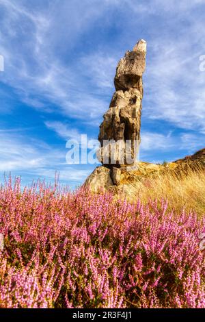 Devil's Wall Stieg bei Thale Bodetal Harz Stockfoto