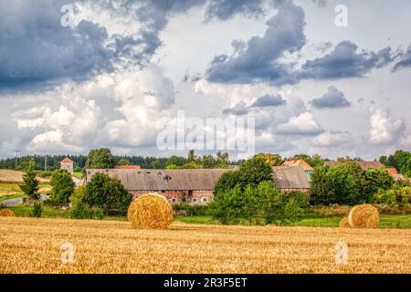 Feld mit Strohrollen in Harz Stockfoto