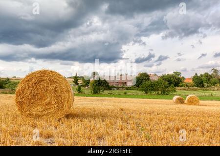 Feld mit Strohrollen in Harz Stockfoto