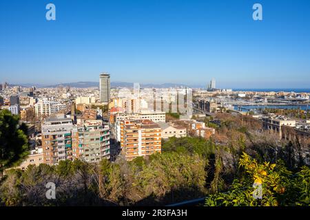 Blick auf Barcelona mit der Kolumbus-Statue vom Berg Montjuic Stockfoto