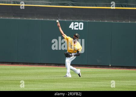 Salt Lake UT, USA. 21. Mai 2023. Salt Lake Center Fielder Jo Adell (7) in Aktion während des Spiels mit Las Vegas Aviators und Salt Lake Bees im Smiths Field in Salt Lake Ut. David Seelig/Cal Sport Medi. Kredit: csm/Alamy Live News Stockfoto