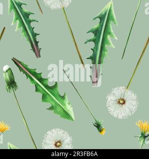 Wasserfarbenes, nahtloses Muster mit Löwenzahn und grünen Blättern. Handmalerei auf einer botanischen Wiese in einem weißen, isolierten Hintergrund Stockfoto