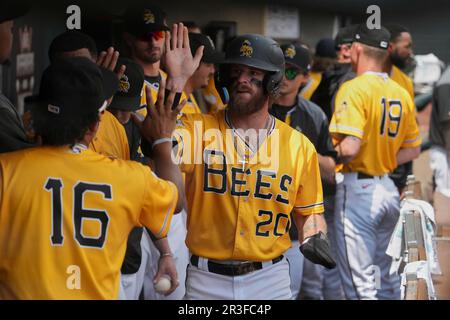 Salt Lake UT, USA. 21. Mai 2023. Trey Cabbage (20), der Salt Lake Pinch-Hitter Trey Cabbage, erzielt während des Spiels einen Lauf mit Las Vegas Aviators und Salt Lake Bees, die im Smiths Field in Salt Lake Ut stattfinden. David Seelig/Cal Sport Medi. Kredit: csm/Alamy Live News Stockfoto