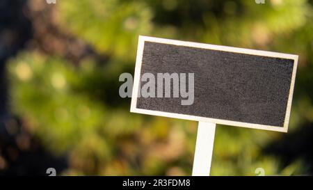 Leeres Informationsschild aus Holz mit schwarzem Etikett auf schwarzem schwarzem Brett vor unscharfem naturgrünen Hintergrund. Verstanden Stockfoto