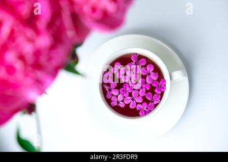 Kreatives Layout mit pinkfarbenen Pfingstrosen und einer Tasse Tee auf einem hellen Tisch. Frühlingssaison valentinstag, Frau, Mutter, 8. märz holi Stockfoto