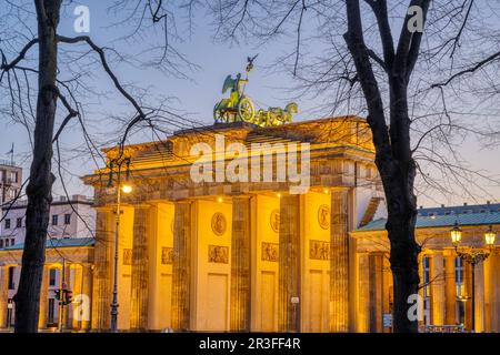 Das Brandenburger Tor in Berlin im Morgengrauen durch einige Bäume gesehen Stockfoto