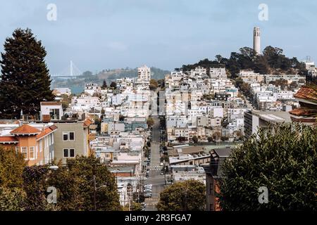 Lombard St Stockfoto