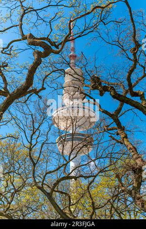 Der Fernsehturm in Hamburg Stockfoto