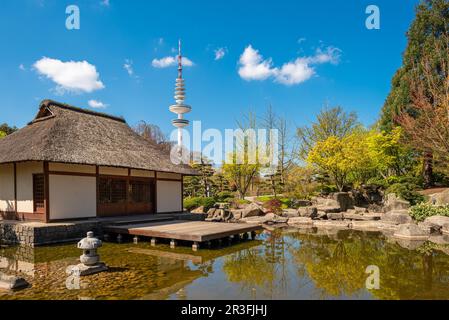 Teehaus und Teich im japanischen Garten in Hamburgs Planten un Blomen Stockfoto