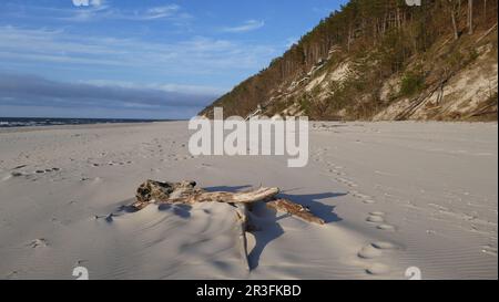 Strand im Wolin-Nationalpark Stockfoto