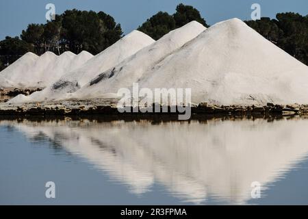 Salinas de Sa Vall o de la Colonia de Sant Jordi son las segundas más Antiguas del mundo (siglo IV ein. C.), Ses Salines, Mallorca, Balearen, Spanien. Stockfoto