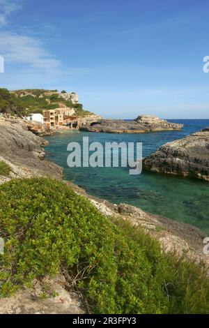 S'Almunia (Caló des Macs). Santanyi. Migjorn. Mallorca Balearen. España. Stockfoto