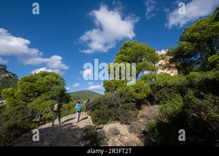 Turmform-Taubenschlag, Na Miranda, Naturpark Sa-Dungarera, Mallorca, Balearen, Spanien. Stockfoto