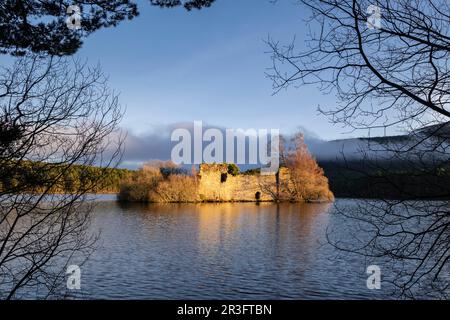 Castillo del siglo XIII, Loch ein Eilein, Parque Nacional de Cairngorms, Highlands, Escocia, Reino Unido. Stockfoto