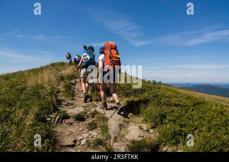 Wanderer auf dem Wappen der Polonina Carynska, Nationalpark Bieszczady, UNESCO-Reservat genannt Östliche Karpaten Biosphärenreservat, Kleinpolen Woiwodschaft, Karpaten, Polen, osteuropa. Stockfoto