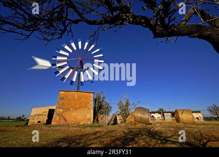 Molino de Agua para Extraccion (s. XIX-XX). Cami de Sa pedra rodona.Campos.Comarca de Migjorn. Mallorca. Balearen. España. Stockfoto