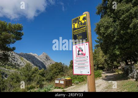 Área Recreativa de Sa Font des Noguer, Escorca, , Mallorca, Balearen, Spanien. Stockfoto