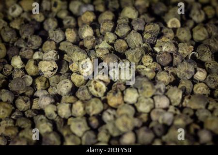 Bild von grünem Pfefferkorn, oder grünem schwarzen Pfefferkorn, von Piper Nigrum, gestapelt in einem Makroshot. Grüner Pfeffer, wie schwarzer Pfeffer, wird fr hergestellt Stockfoto