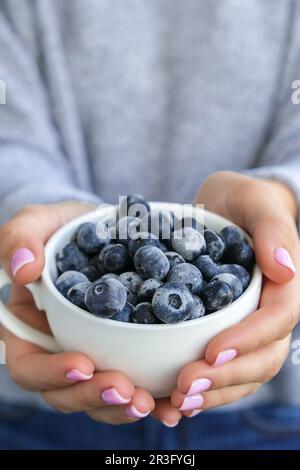 Eine Frau, die eine Schüssel mit gefrorenen Heidelbeeren hält. Erntekonzept. Weibliche Hände sammeln Beeren. Konzept der gesunden Ernährung. St Stockfoto