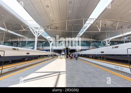 Zug Fuxing Hochgeschwindigkeitszug HGV-Bahnhof Tianjin in China Stockfoto