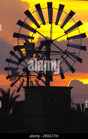 Molinos para extraccion de Agua (s.XIX-XX). Cami de Sa pedra rodona.Campos.Comarca de Migjorn. Mallorca. Balearen. España. Stockfoto