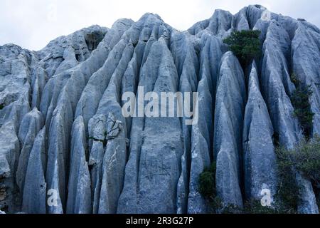 Entlasten kárstico, Mortix veröffentlicht Anwesen, natürliche Umgebung der Sierra de Tramuntana, Mallorca, balearen, spanien, europa. Stockfoto