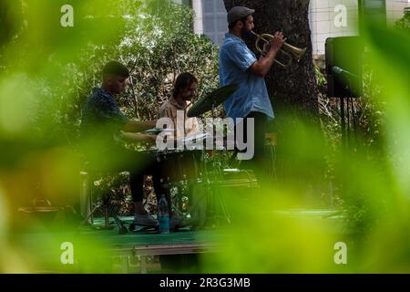 PEP Garau Trio, Jazzmusik, Mallorca, spanien. Stockfoto