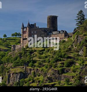 Schloss Katz, Teil des UNESCO-Weltkulturerbes Oberes Mittleres Rheintal, St. Goarshausen, Deutschland Stockfoto