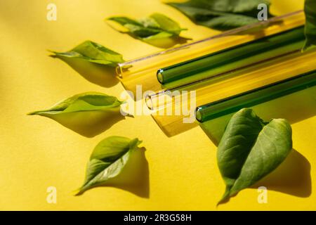 Wiederverwendbare Strohhalme aus Glas auf farbenfrohem Hintergrund mit grünen Blättern umweltfreundliches Strohhalm-Set Wiederverwendbare, bequeme, abgerundete Spitze D Stockfoto