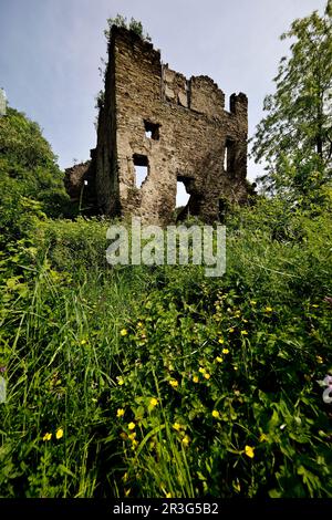 Burgruine auf Schloss Sayn, Bendorf, Kreis Mayen-Koblenz, Rheinland-Pfalz, Deutschland, Europa Stockfoto