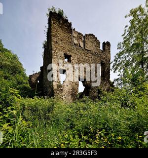 Burgruine auf Schloss Sayn, Bendorf, Kreis Mayen-Koblenz, Rheinland-Pfalz, Deutschland, Europa Stockfoto