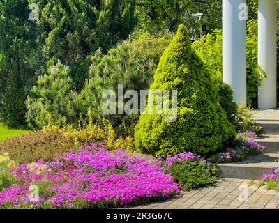 Gartenlandschaft mit blühenden Pflanzen und immergrünen Zierpflanzen. Gartenkonzept. Stockfoto