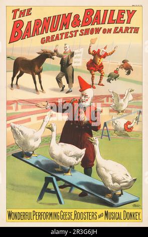 Vintage Barnum & Bailey Circus Poster mit Clowns mit darstellenden Gänsen, Hähnen und einem Esel, ca. 1900. Stockfoto